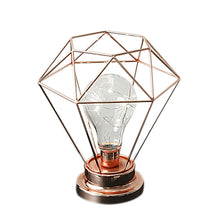 Load image into Gallery viewer, Edison Style Metal Terrarium Lamp